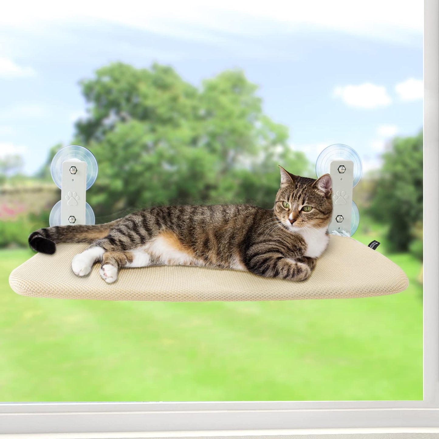 Cat Window Bed Perch Folding Hammock Window Shelf for Large Cats Sturdy Kittens Resting Platform 20.5 * 11.8 in for 360° Sunbathing Easy to Put Together Hamac Pour Chat Fenêtre (Double-Sided Mesh)