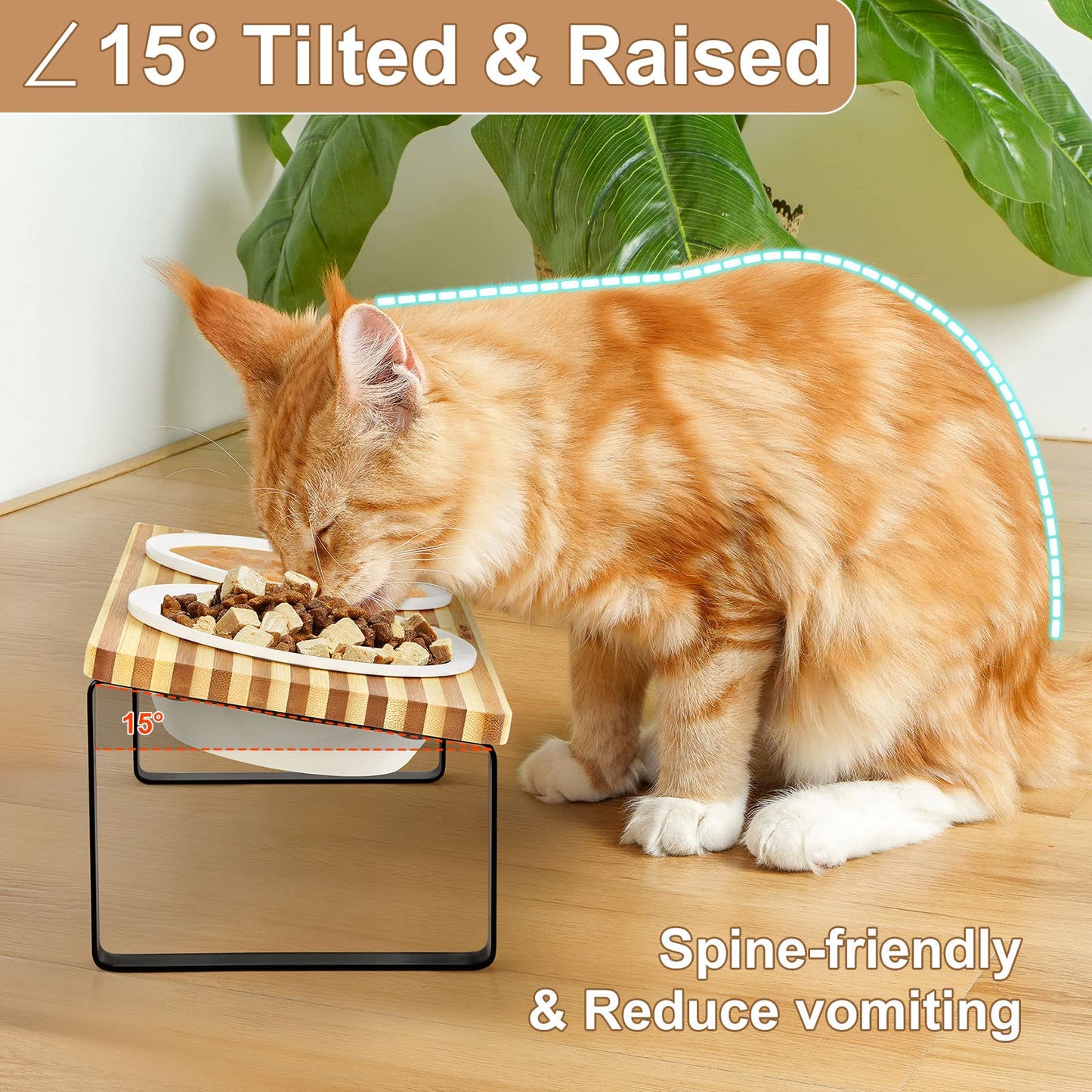 Elevated Cat Bowls, Raised Ceramic Cats Puppy Dishes for Food and Water, Tilted Bamboo Stand for Anti Vomiting, Indoor 5.5 inch Wide Dish for Whisker Friendly