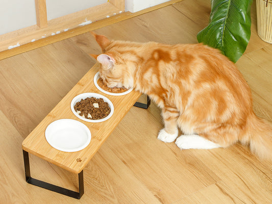 ✨🐈GUUSII HOME Raised Cat Food Water Bowl Set of 3🐾🍽️