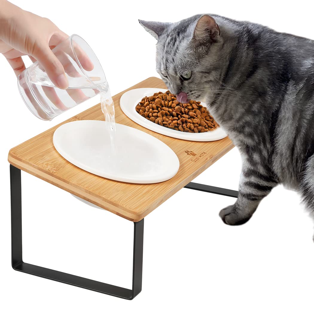 Elevated bowls 2024 for cats