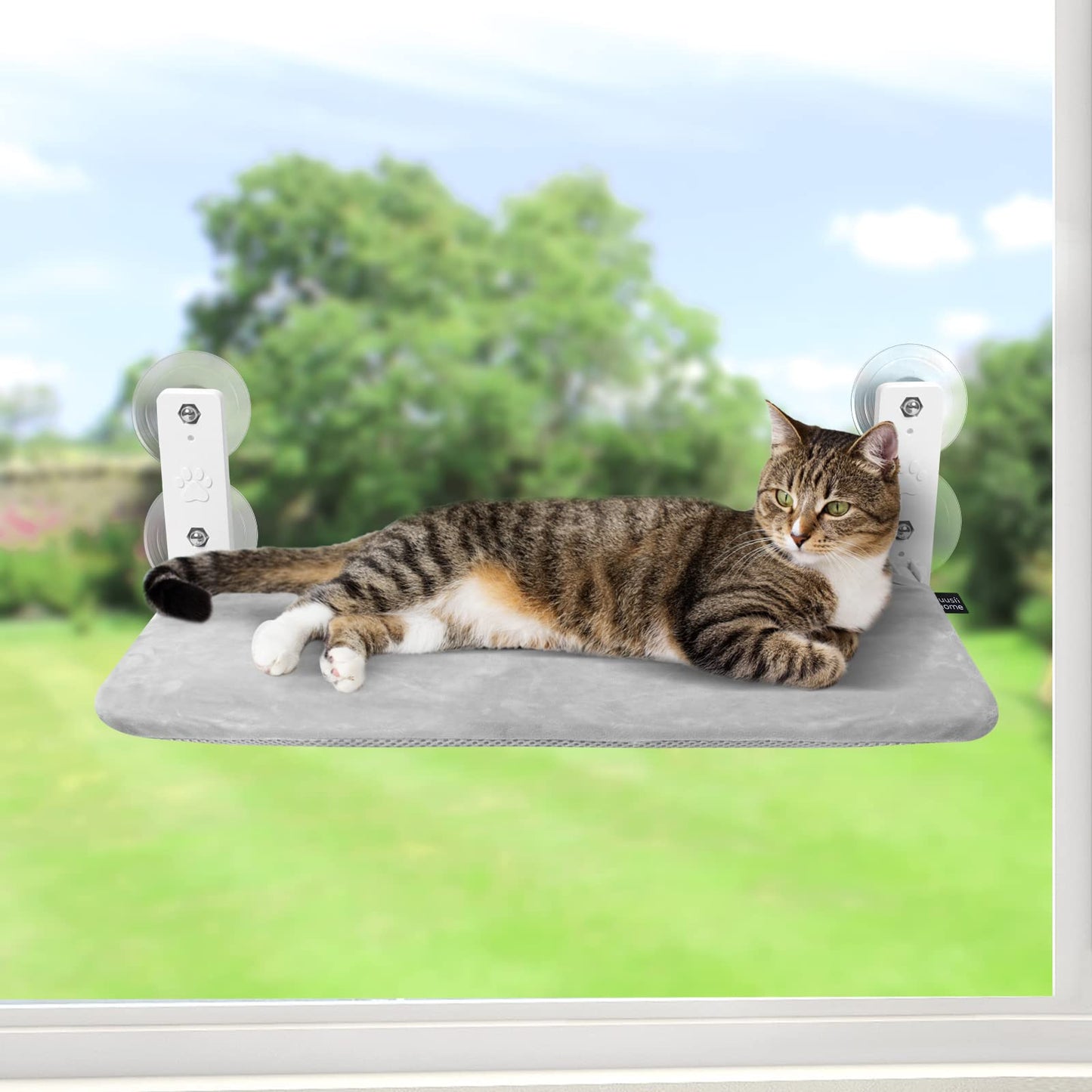 Cat Window Bed Perch Folding Hammock Window Shelf for Large Cats Sturdy Kittens Resting Platform 20.5 * 11.8 in for 360° Sunbathing Easy to Put Together Hamac Pour Chat Fenêtre (Double-Sided Mesh)