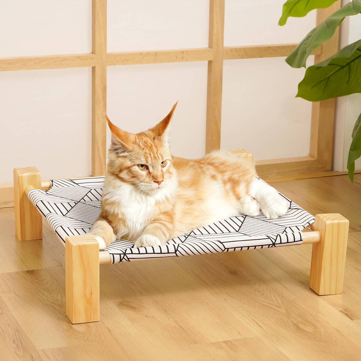 Cat Hammock Bed Elevated Sleeping Chair for 2 Indoor Cats Raised Floor Kitty Cot with Wooden Frame Lifted Stand No Drill Puppy Lounger Pet Beds 18x18in for Kitten Small Dogs Rabbit Bunny