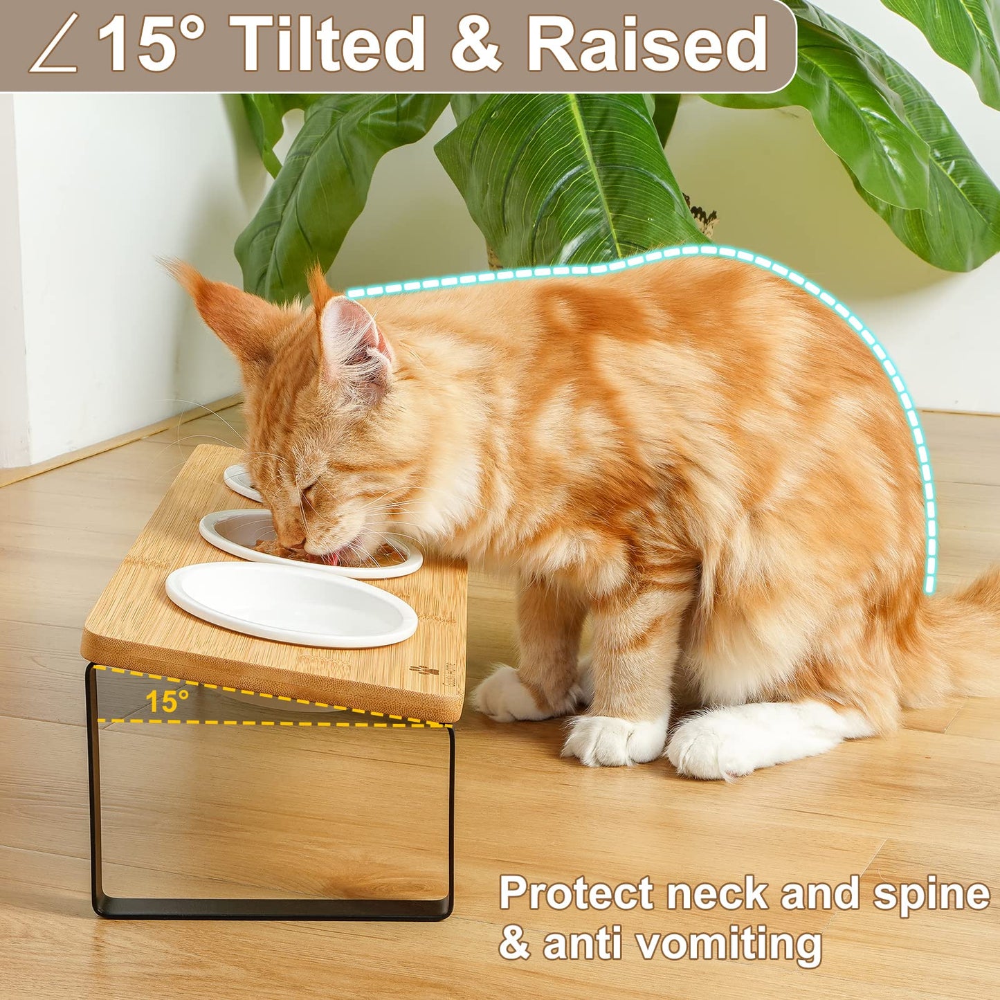 Elevated Cat Food Bowl Raised Kitty Dish Ceramic Tilted Pet Bowls Set of 3 Indoor Cats Dishes Dia 4.3in/11cm Anti Vomiting with Natural Bamboo Stand Gamelle Pour Chat