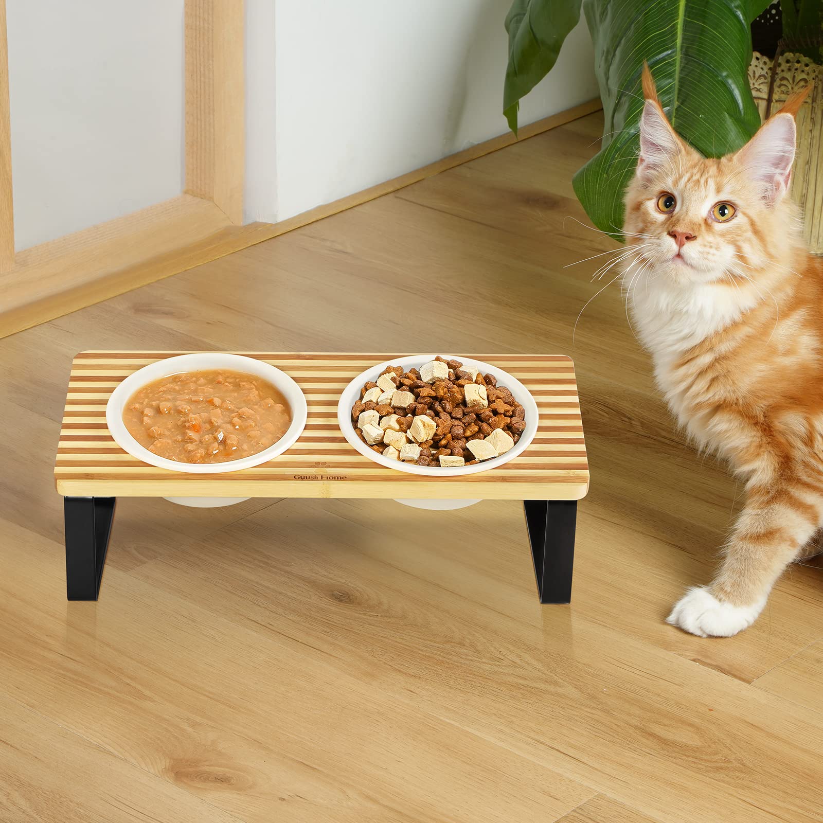 Elevated Cat Bowls Raised Ceramic Cats Puppy Dishes for Food and Wate Guusii Home