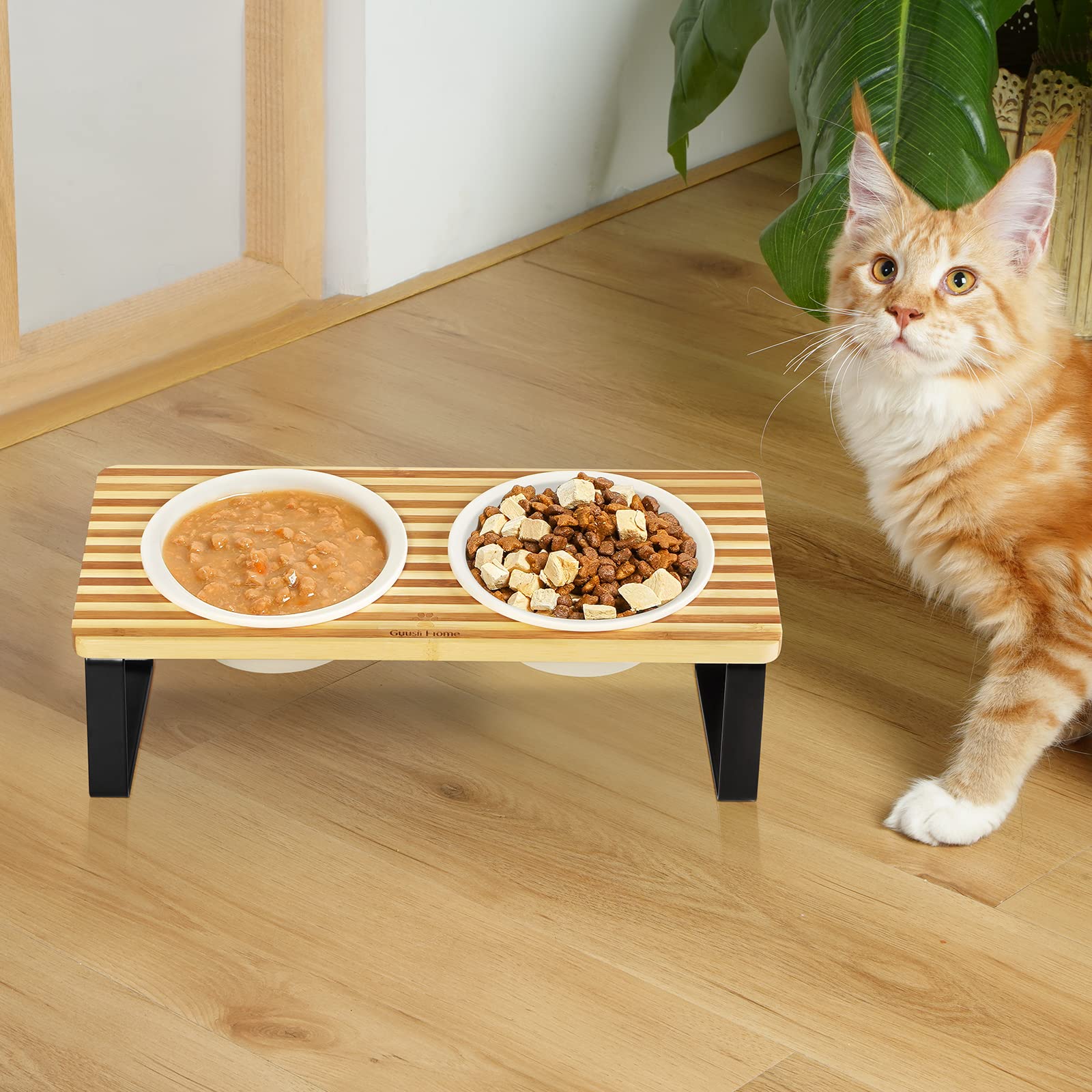 The 9 Best Elevated Cat Bowls for Easy Eating