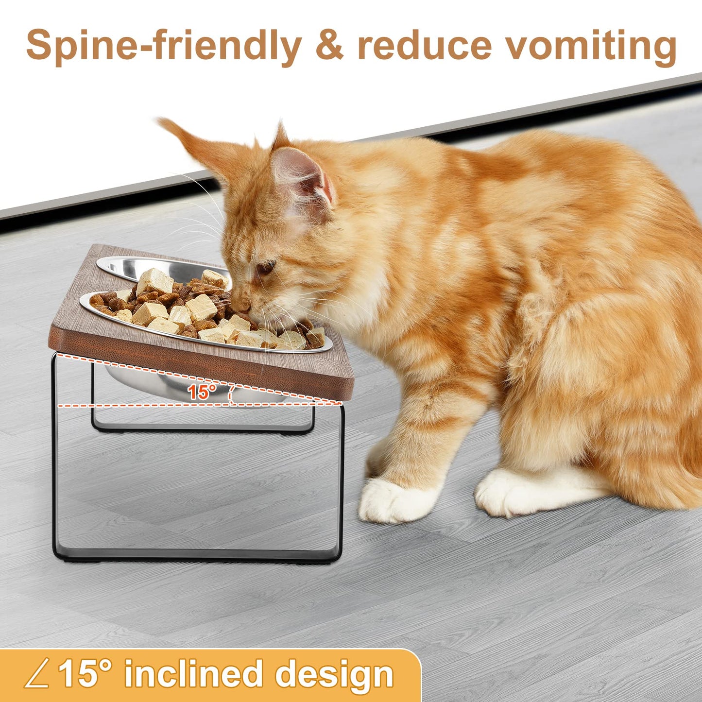 Elevated Cat Bowls Raised Puppy Dishes for Food and Water 2 Stainless Steel Kitty Bowls Set with 15° Tilted Bamboo Feeding Stand for Indoor Cats Small Dogs Anti Vomit